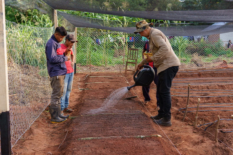 Huertas en comunidades indígenas: un aporte para la seguridad alimentaria en Paraguay